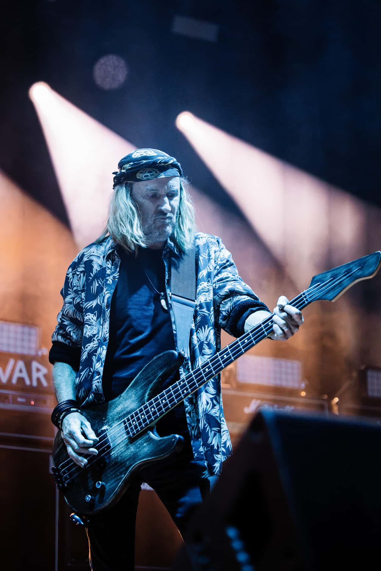 Krokus